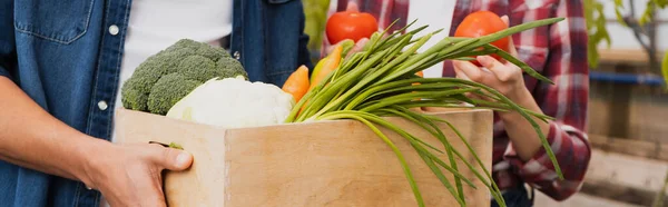 Vista recortada de agricultores interracial sosteniendo verduras frescas en invernadero, pancarta - foto de stock