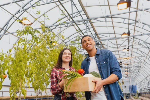 Vue en angle bas de fermiers souriants multiethniques avec des légumes mûrs regardant loin dans la serre — Photo de stock