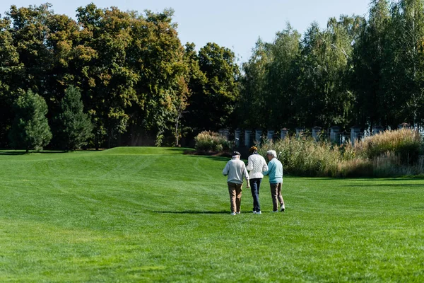 Back view of senior interracial friends walking on green field with golf clubs — стоковое фото