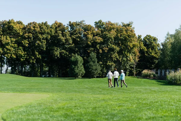 Vista trasera de amigos multiétnicos mayores caminando en el campo verde con palos de golf - foto de stock