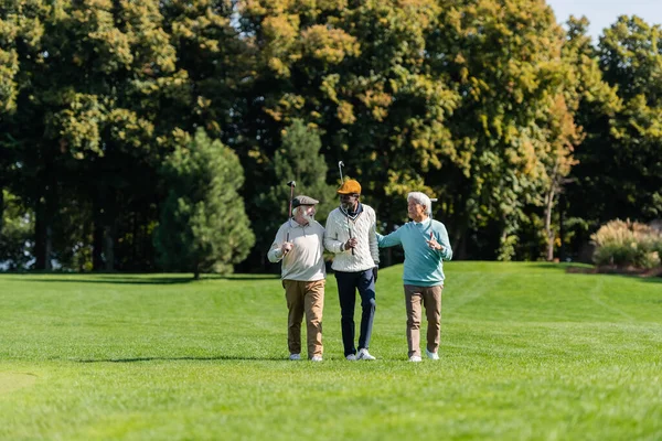 Старші багатоетнічні друзі посміхаються і ходять з гольф-клубами на зеленому полі — стокове фото