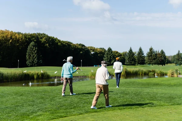 Vista trasera de los hombres mayores multiétnicos con palos de golf caminando cerca de estanque con cisnes - foto de stock