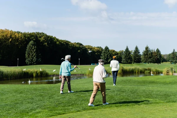 Back view of senior multiethnic men with golf clubs walking near pond with swans — стоковое фото