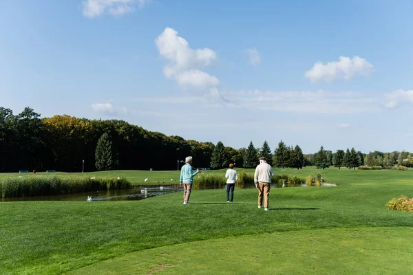 Rückansicht von multiethnischen Senioren mit Golfschlägern, die in Teichnähe auf grünem Rasen spazieren gehen — Stockfoto