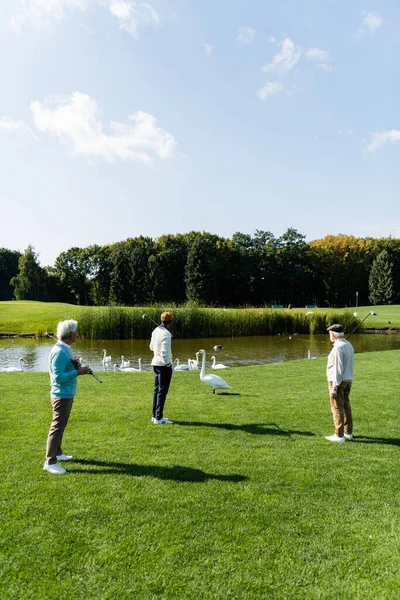 Back view of senior multiethnic men with golf clubs standing on green lawn near swans — Stock Photo