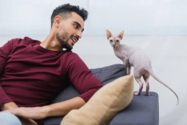 Smiling muslim man looking at sphynx cat on couch at home — Stock Photo