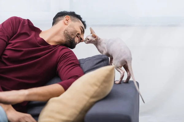 Alegre homem árabe e sphynx gato no sofá em casa — Fotografia de Stock