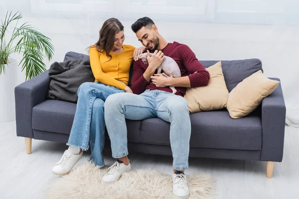 Smiling multiethnic couple looking at sphynx cat on couch - foto de stock