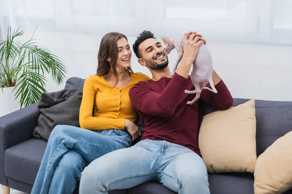 Positive multiethnic couple looking at sphynx cat on couch — стоковое фото