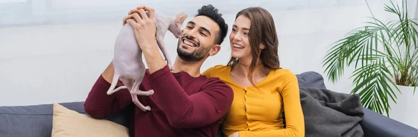 Cheerful muslim man holding sphynx cat near girlfriend on couch, banner — Stock Photo