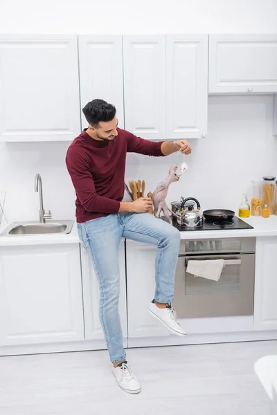 Arabe homme tenant jouet près de chat sphynx et plan de travail dans la cuisine — Photo de stock