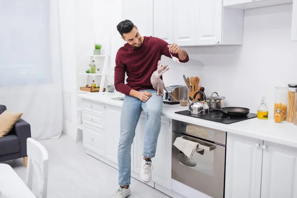 Positive muslim man playing with toy and sphynx cat in kitchen — стоковое фото