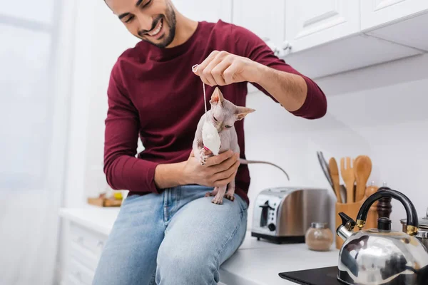 Blurred arabian man holding toy near sphynx cat in kitchen — стоковое фото