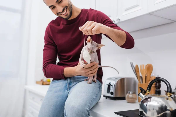 Blurred arabian man holding toy near sphynx cat in kitchen — Stock Photo
