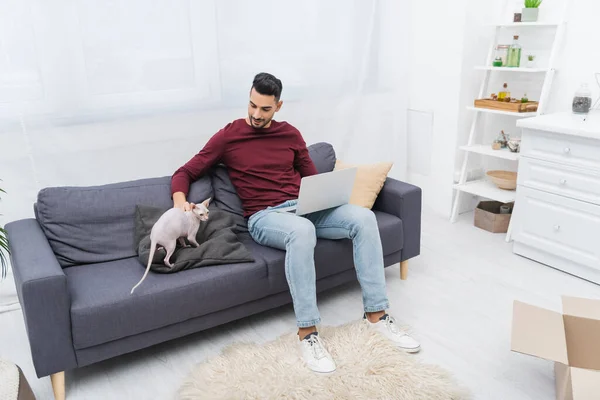 Arabe homme caressant chat sphynx et en utilisant un ordinateur portable sur le canapé près de la boîte de carton à la maison — Photo de stock