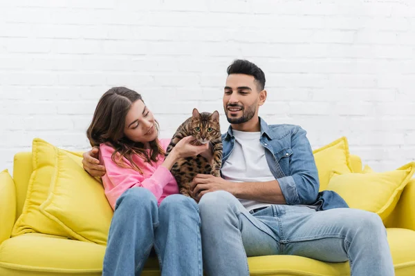 Sonriente mujer sosteniendo bengala gato cerca musulmán novio en sofá - foto de stock