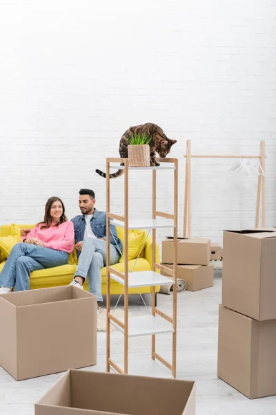 Bengal cat sitting on rack near carton boxes and interracial couple at home — Fotografia de Stock