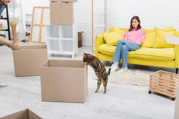 Bengal cat standing near carton box and couple at home — Stock Photo