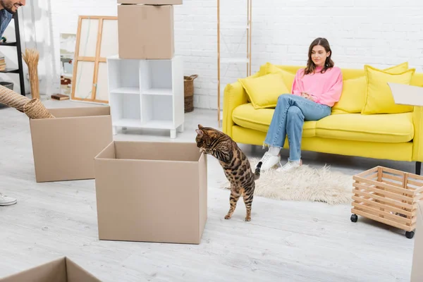 Bengal cat standing near carton box and couple at home — стоковое фото