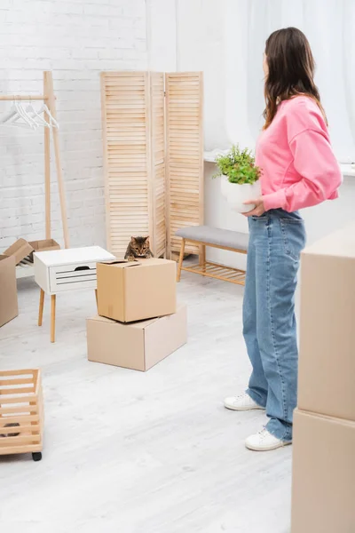 Frau hält Pflanzen in der Nähe von Bengalkatze und Kartons zu Hause — Stockfoto