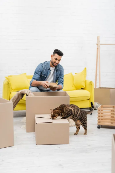 Bengal cat standing near carton box and blurred muslim man at home — Stock Photo