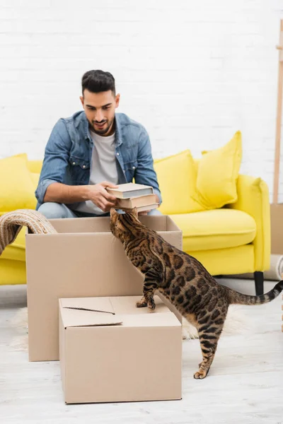 Bengal cat standing on carton box near blurred arabian man with books at home — Fotografia de Stock