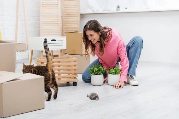 Smiling woman looking at bengal cat near plants and packages at home — Stock Photo