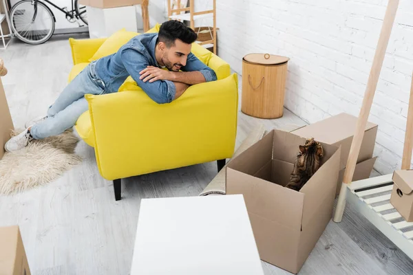 Young muslim man looking at bengal cat in package in living room — Stock Photo