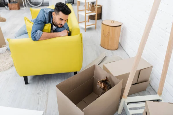Bengal cat sitting in carton box near arabian man on couch at home — Stock Photo