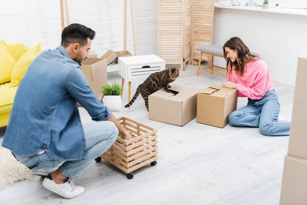 Vista lateral do casal multiétnico olhando para o gato bengala perto de caixas de papelão em casa — Fotografia de Stock