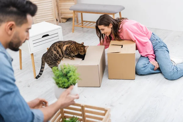 Side view of cheerful woman looking at bengal cat on carton box near blurred muslim boyfriend at home — стоковое фото
