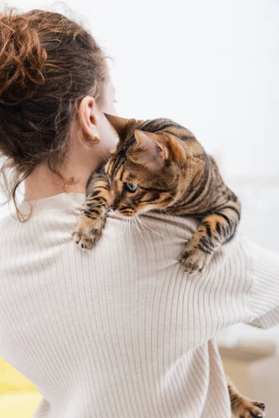 Woman holding bengal cat at home — Photo de stock