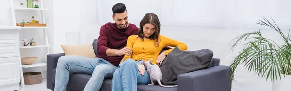 Positive multiethnic couple looing at sphynx cat on couch at home, banner — стоковое фото