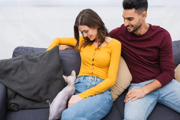 Felice coppia interrazziale guardando glabro sfinge gatto sul divano a casa — Foto stock
