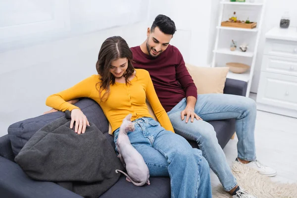 Sphynx cat sitting on couch near smiling interracial couple — Photo de stock