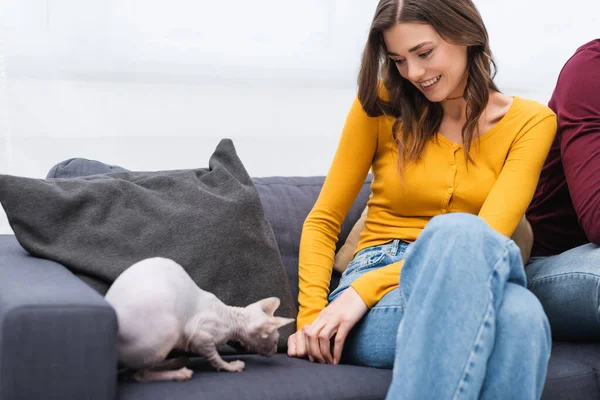 Smiling woman looking at blurred sphynx cat on couch at home — Fotografia de Stock