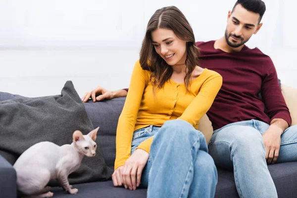 Alegre interracial casal olhando para desfocado sphynx gato no sala de estar — Fotografia de Stock