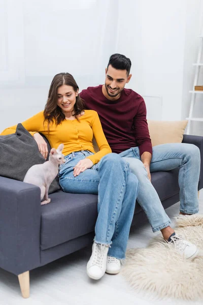 Multiethnic couple looking at blurred sphynx cat in living room — Photo de stock