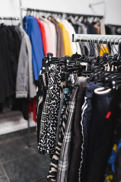 Shorts on hangers in second hand — Foto stock