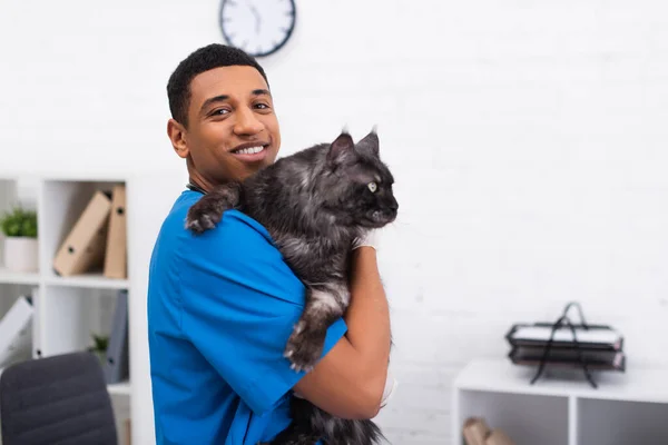 Médico americano africano positivo em uniforme segurando casulo de maine na clínica veterinária — Fotografia de Stock