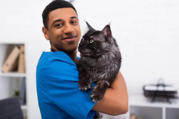 Blurred y sonriente africano americano veterinario en uniforme holding peludo maine coon gato en clínica - foto de stock