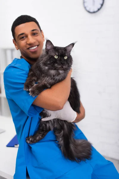 Alegre africano americano veterinario abrazando maine coon y mirando la cámara en la clínica - foto de stock