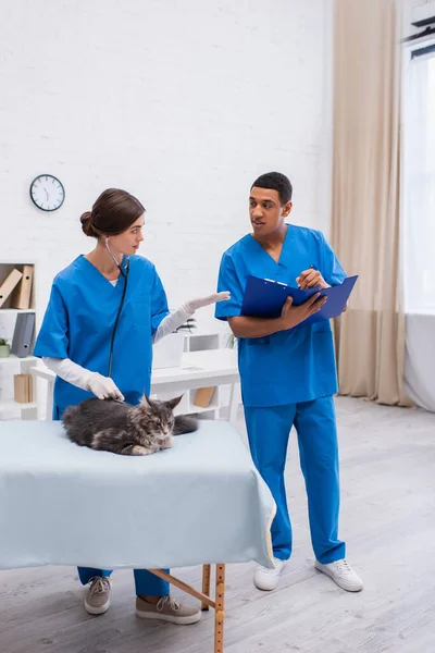 Tierarzt untersucht Maine Coon mit Stethoskop bei afrikanisch-amerikanischem Kollegen, der in Klinik auf Klemmbrett schreibt — Stockfoto