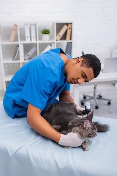 African american veterinarian in uniform examining maine coon with otoscope in clinic — Fotografia de Stock