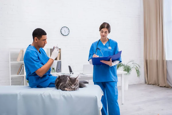 African american veterinarian holding syringe near maine coon and colleague writing on clipboard in clinic — Foto stock