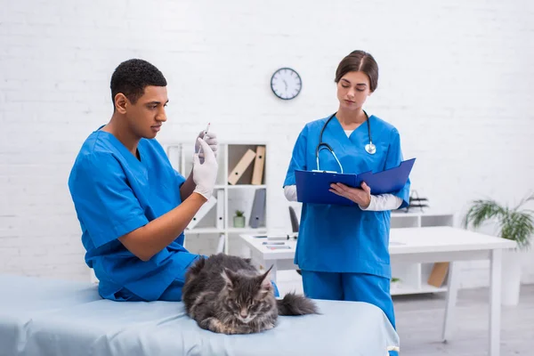 Afrikanisch-amerikanischer Tierarzt hält Spritze neben Kollegin mit Klemmbrett und Maine Coon auf medizinischem Sofa in Klinik — Stockfoto