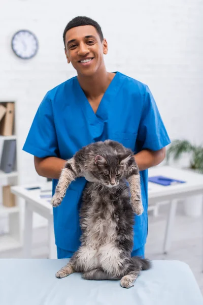 Fröhlich afrikanisch-amerikanischer Tierarzt hält Maine Coon in Klinik — Stockfoto