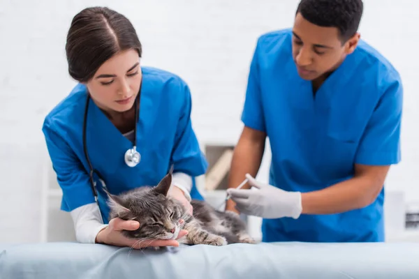 Maine coon couché sur un canapé médical près de vétérinaires multiethniques flous avec seringue en clinique — Photo de stock