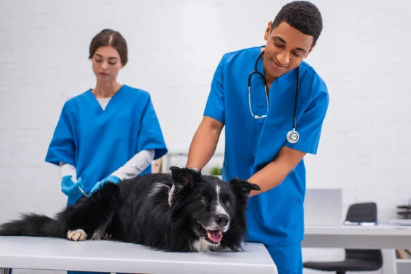 Позитивний ветеринар-афроамериканець дивиться на коллі поблизу колеги зі шприцом у клініці. — стокове фото