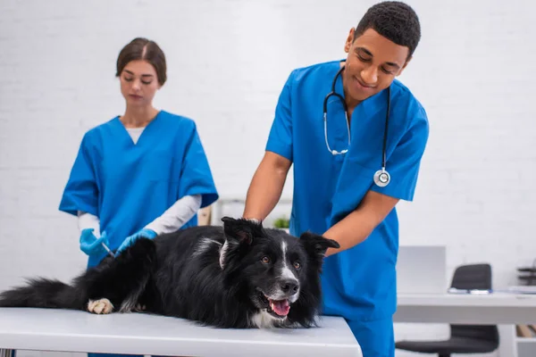 Veterinário americano africano positivo olhando para collie fronteira perto colega com seringa na clínica — Fotografia de Stock